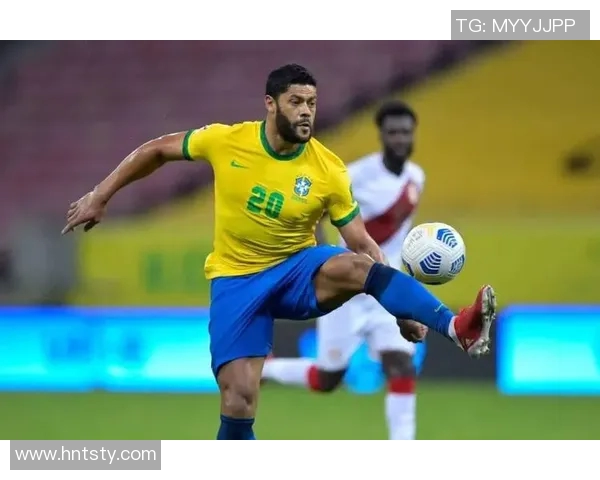 中国足球职业联赛二十年发展历程与重要事件全景回顾词典