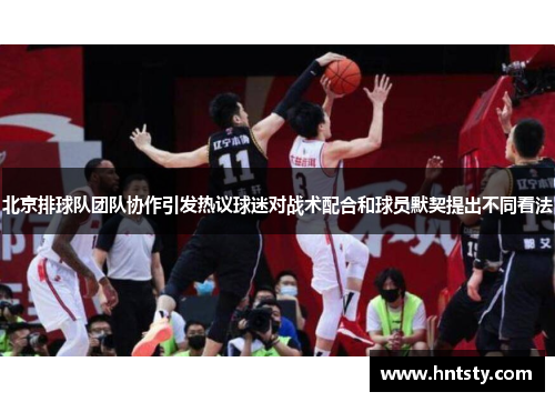 北京排球队团队协作引发热议球迷对战术配合和球员默契提出不同看法