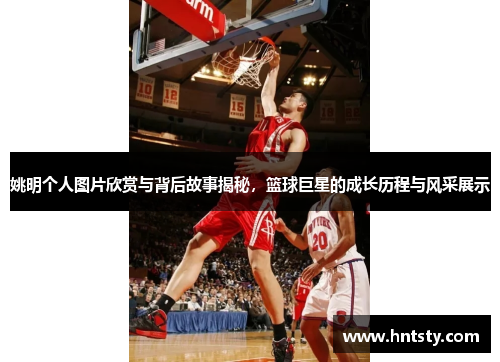 姚明个人图片欣赏与背后故事揭秘，篮球巨星的成长历程与风采展示